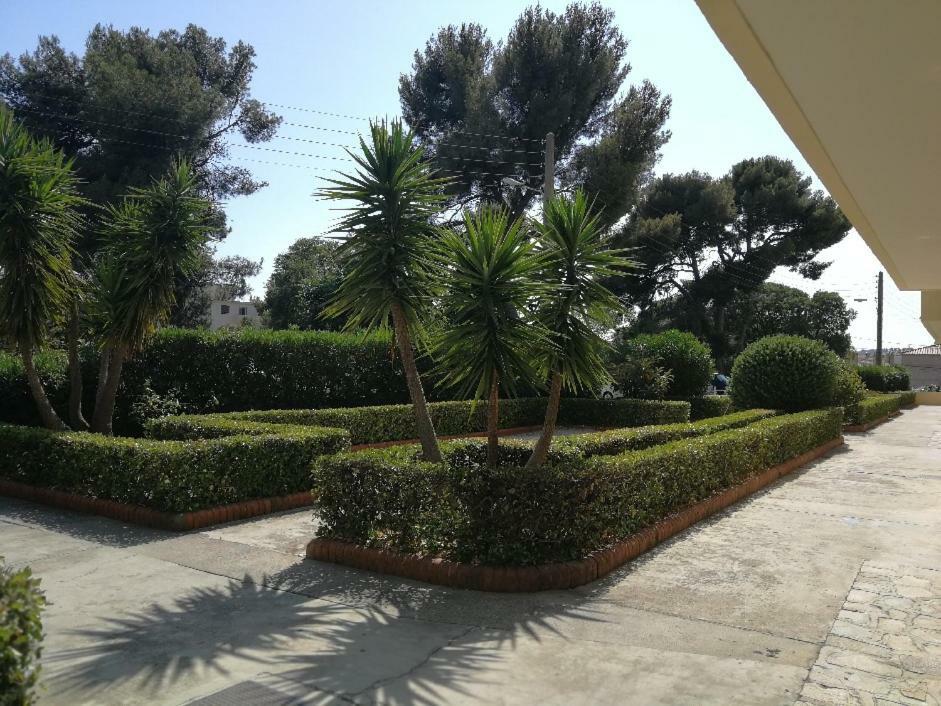 Appartement 2 Pieces Avec Balcon Toulon Dış mekan fotoğraf